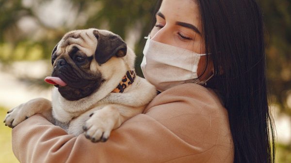 Animais, no entanto, também precisam de cuidados