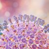 Rotavírus: o que é, sintomas e prevenção