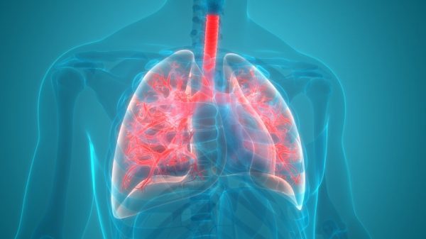 Dia Mundial da Pneumonia: saiba como prevenir a doença