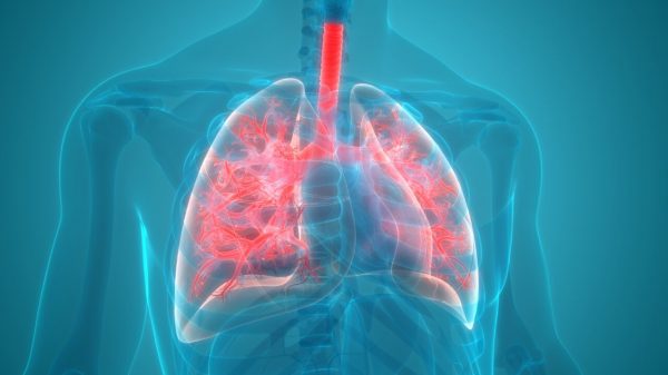Dia Mundial da Pneumonia: saiba como prevenir a doença