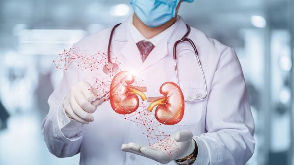 Insuficiência renal: fatores que levam à perda da função dos rins