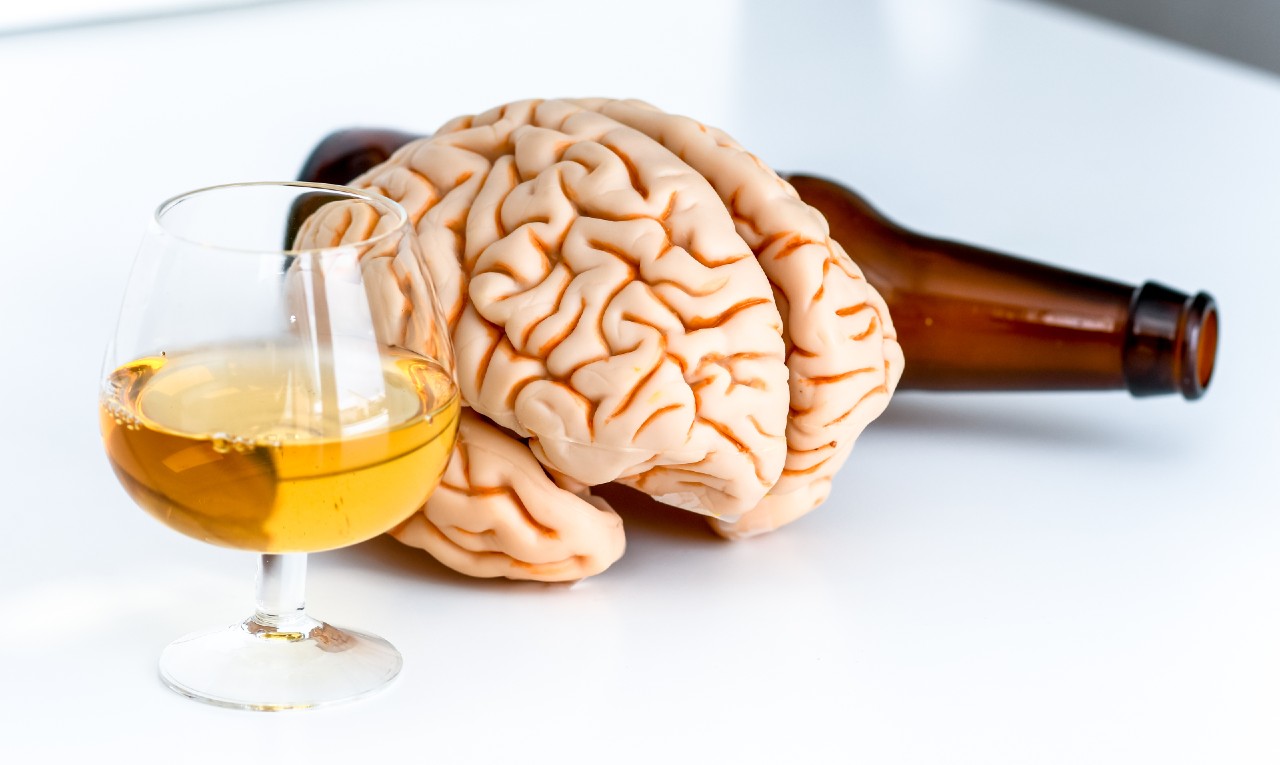 Qualquer quantidade de álcool faz mal ao cérebro, mostra estudo