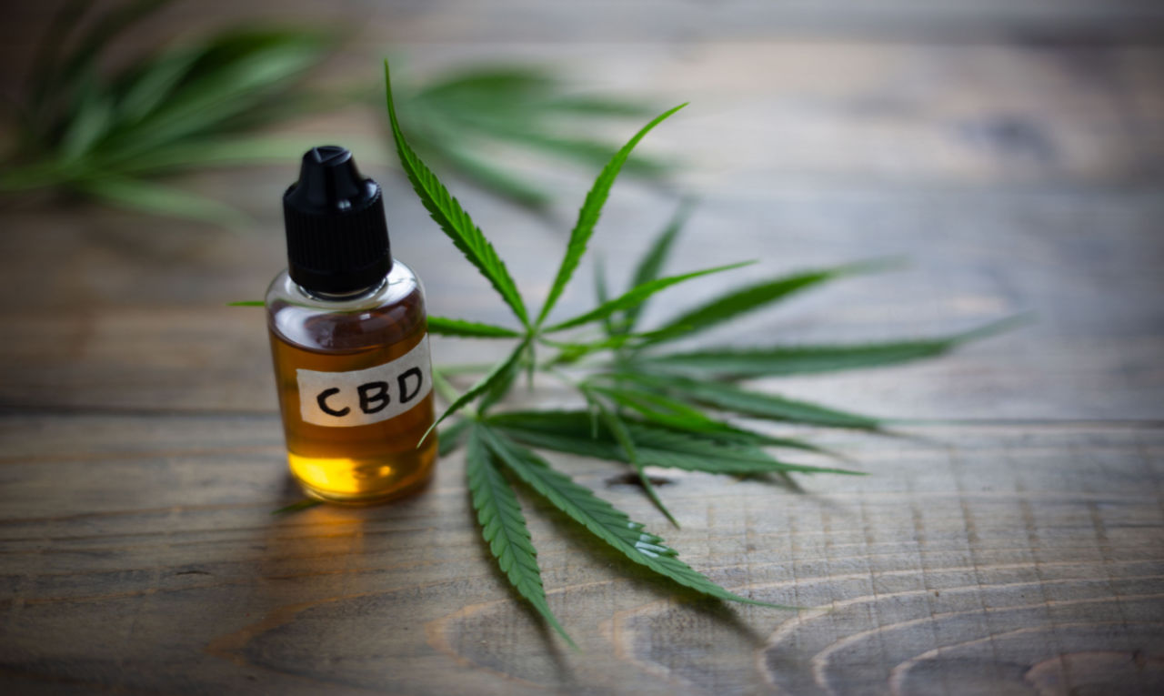 CBD no SUS: saiba quem pode se beneficiar do tratamento