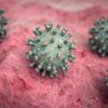Marburg: OMS confirma surto de um dos vírus mais letais do mundo