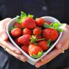 Comer morango todos os dias melhora a saúde do coração, diz estudo
