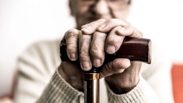 Pesquisadores de Harvard descobrem como reverter o envelhecimento