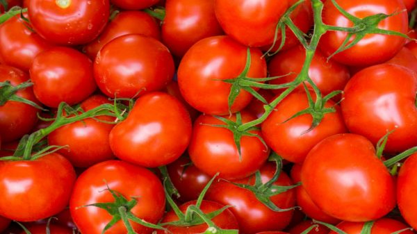 Na salada ou no molho: tomate tem forte poder antioxidante