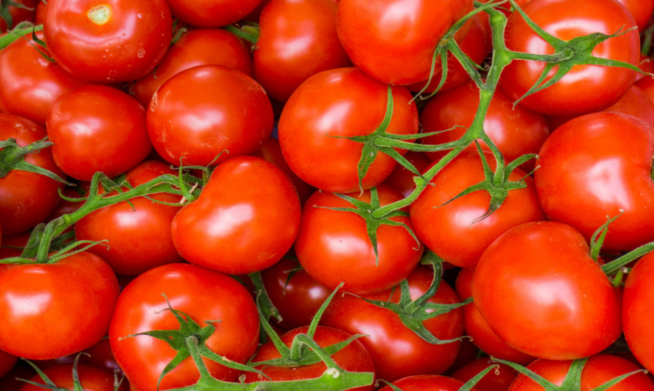 Na salada ou no molho: tomate tem forte poder antioxidante