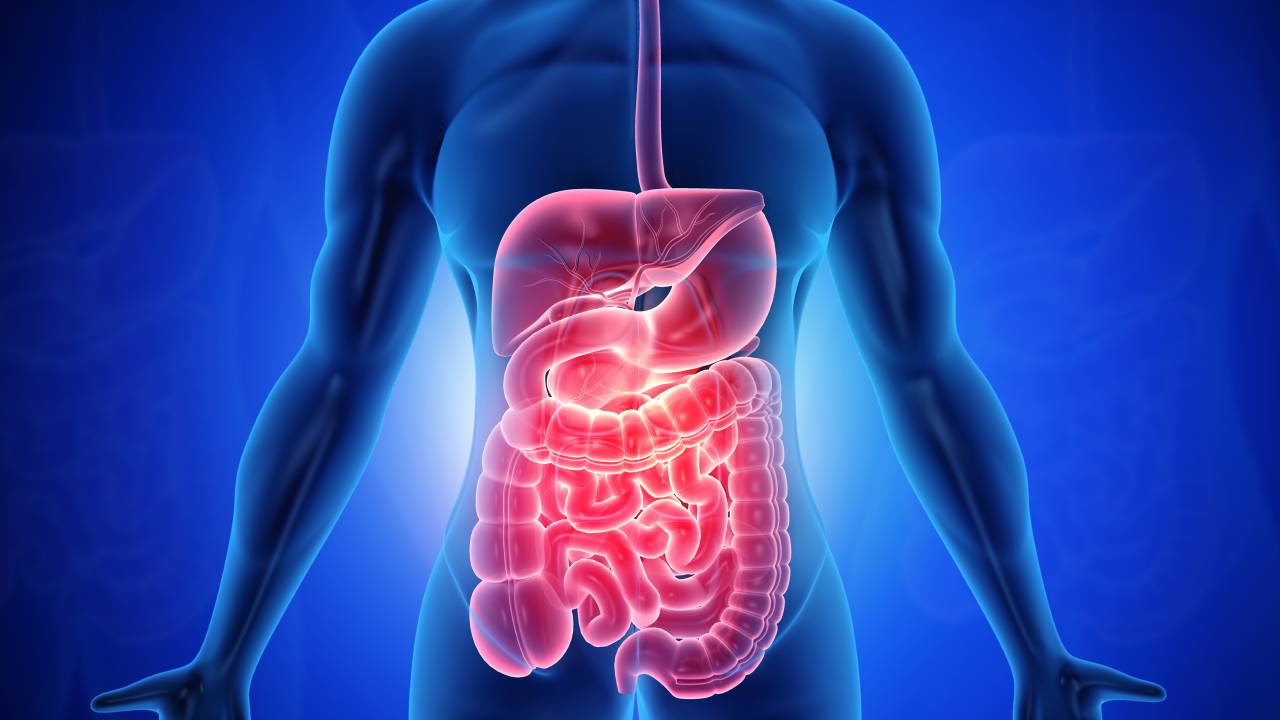 Sintomas de câncer no intestino