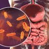Bactéria intestinal pode ser a principal causa do Parkinson; entenda