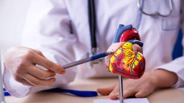 Alerta: doenças cardiovasculares são a principal causa de morte no Brasil