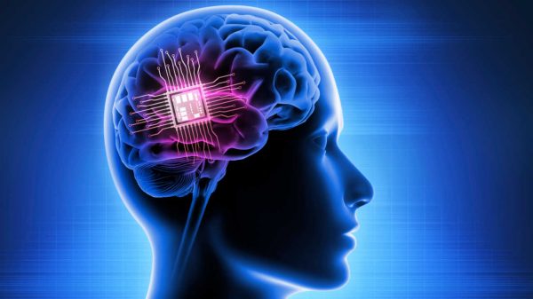 Elon Musk tem autorização para testar chip cerebral em humanos; há riscos?