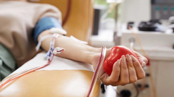 Dia do Doador de Sangue: saiba quais os requisitos para doar sangue
