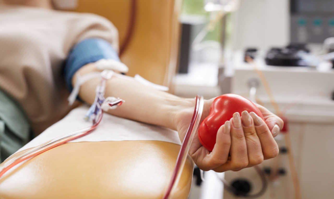 Dia do Doador de Sangue: saiba quais os requisitos para doar sangue