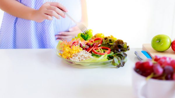 Desenvolvimento do feto: alimentação da gestante impede obesidade infantil