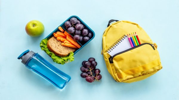 Volta às aulas: 6 dicas para preparar uma lancheira saudável