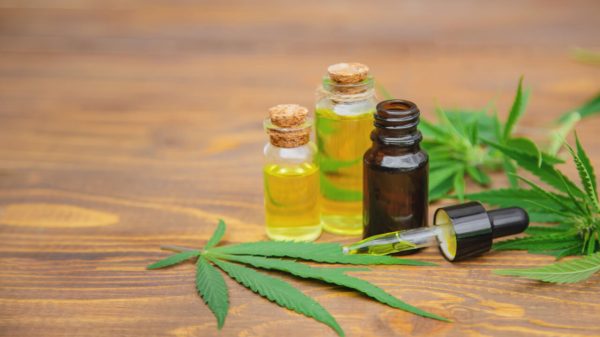 Cannabis medicinal: 20 doenças que podem ser tratadas com CBD