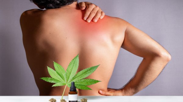Cannabis medicinal é capaz de aliviar dores crônicas da fibromialgia