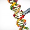 DNA influencia preferência por alimentos; entenda
