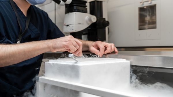 Congelamento de óvulos: como e até quando usar um óvulo congelado?