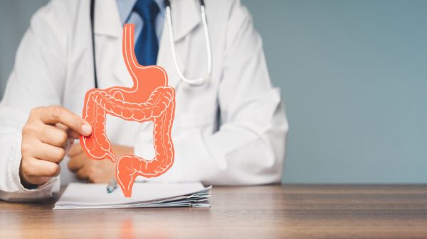 Doenças autoimunes começam no intestino; entenda por que