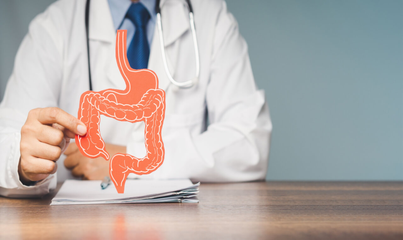 Doenças autoimunes começam no intestino; entenda por que