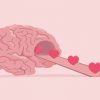 Ocitocina: hormônio do amor também é um aliado da memória; entenda