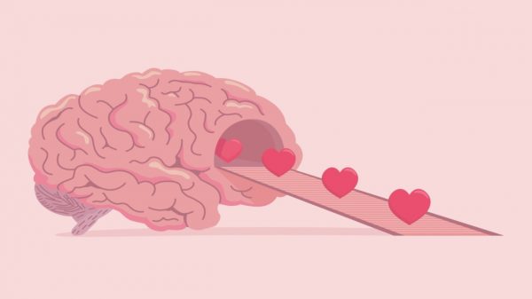 Ocitocina: hormônio do amor também é um aliado da memória; entenda