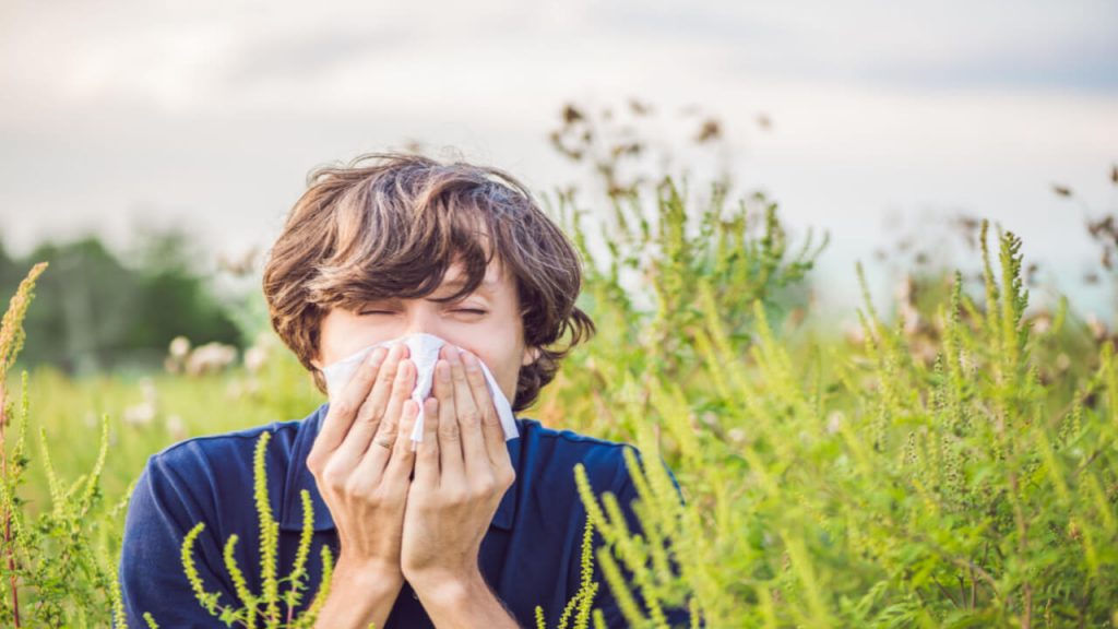 Rinite: 7 plantas que podem ajudar no controle da alergia