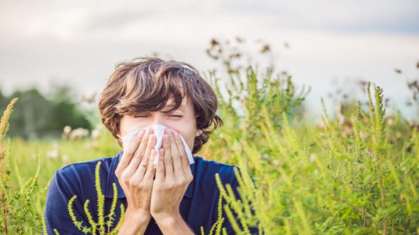 Rinite: 7 plantas que podem ajudar no controle da alergia