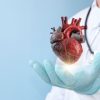 Males do coração: veja como prevenir as doenças cardíacas