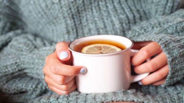 5 chás caseiros para aumentar a saúde no inverno