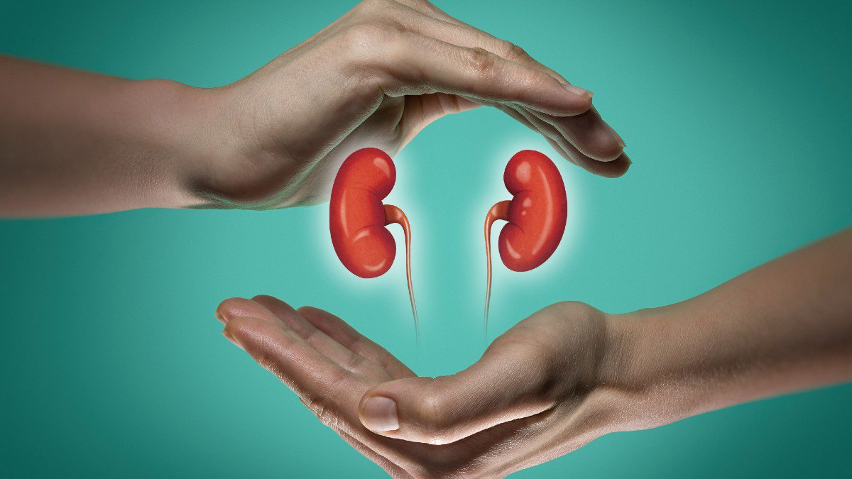 Insuficiência renal pode causar problemas no coração; 5 alertas de rins fracos