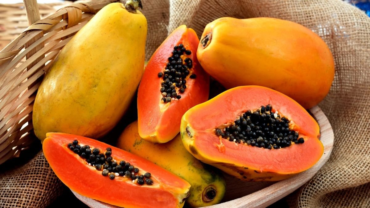 Mamão: 9 benefícios dessa fruta cheia de nutrientes
