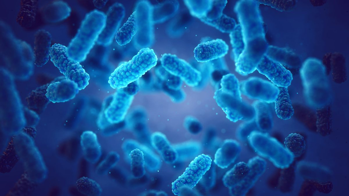 Entenda como as bactérias ajudam no combate à Covid-19