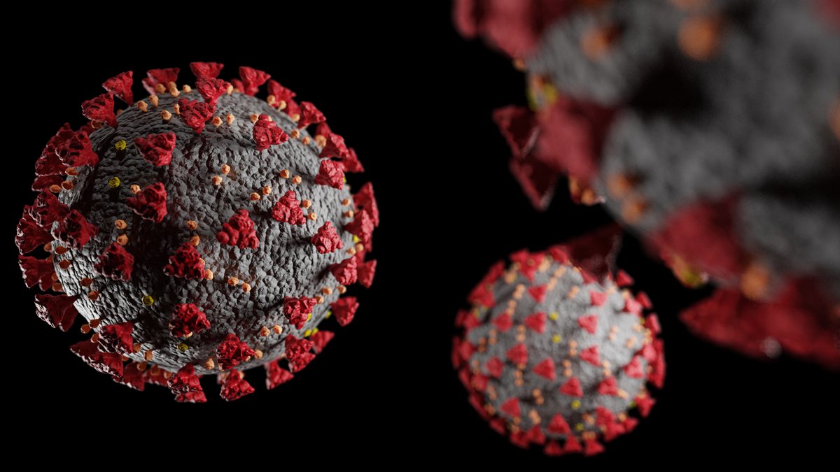 Estudo revela que Xilitol pode reduzir carga viral de SARS-CoV-2