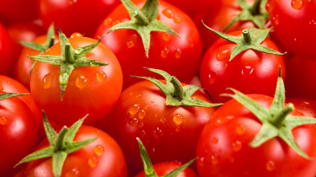 Tomate: um importante aliado contra o câncer de intestino