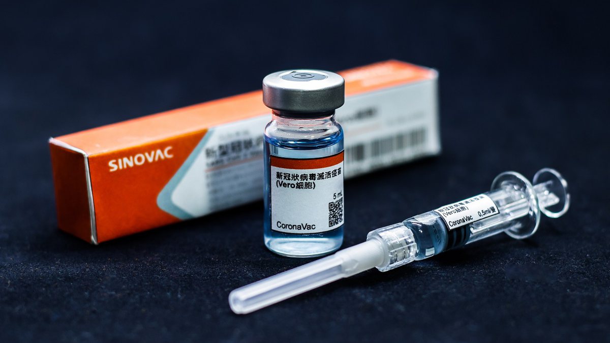 Sinovac realizou estudos sobre uma possível terceira dose da imunização e imunologista comenta sobre isso