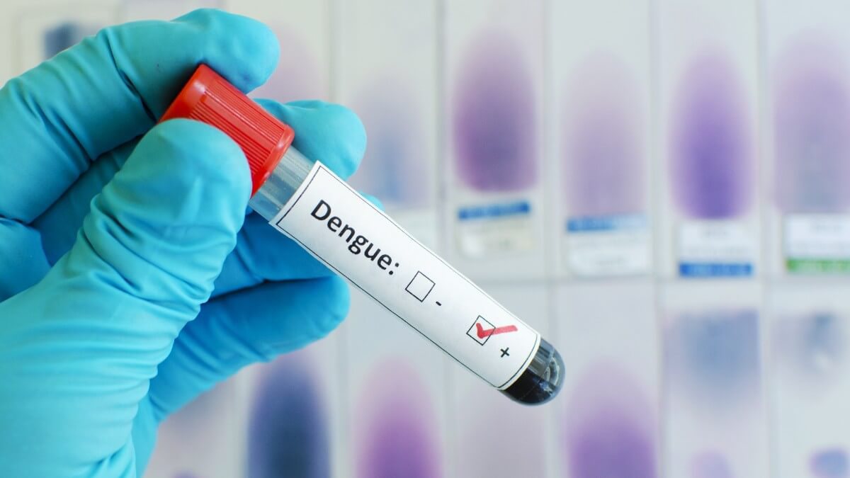 Vacina da dengue gera resposta imune em mais de 90% das pessoas, diz estudo